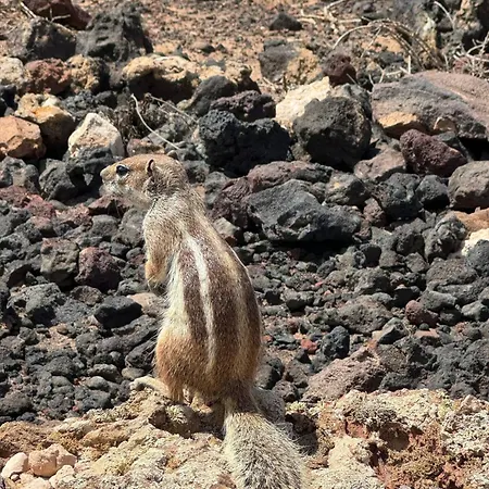빌라 Outside Con Piscina Majanicho